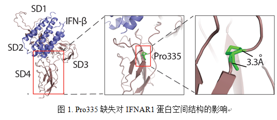 W020210111398630361019.png
