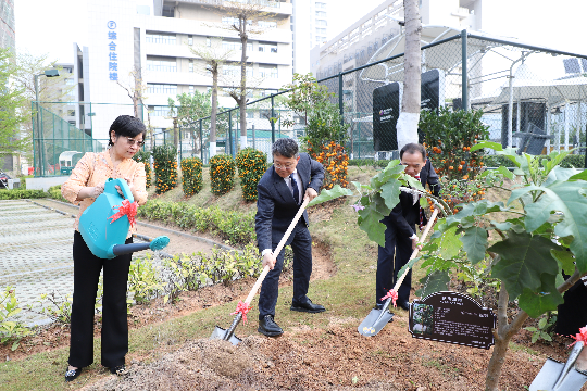 深圳市第三人民医院开展植树节活动 种下“