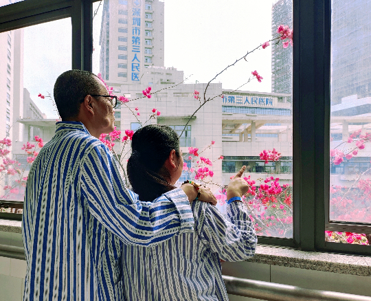 深圳市第三人民医院成功举行“美美与共  